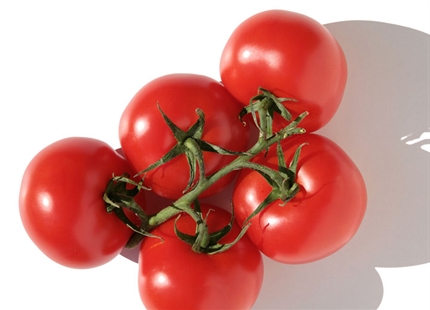 Продукты питания