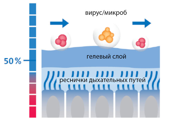 Moist airway mucous membranes
